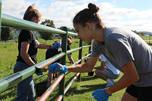 girl painting fence